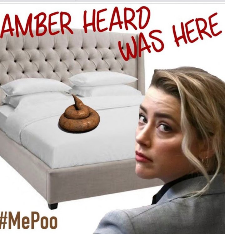 PHOTO-Amber-Heard-Was-Here-Me-Poo-Meme.jpg